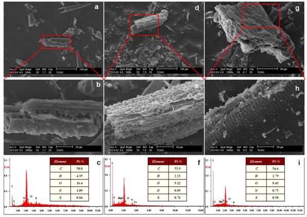 F:\学院网站\2019-07\李衍亮博士图二.png F:\学院网站\2019-07\李衍亮博士图二.png